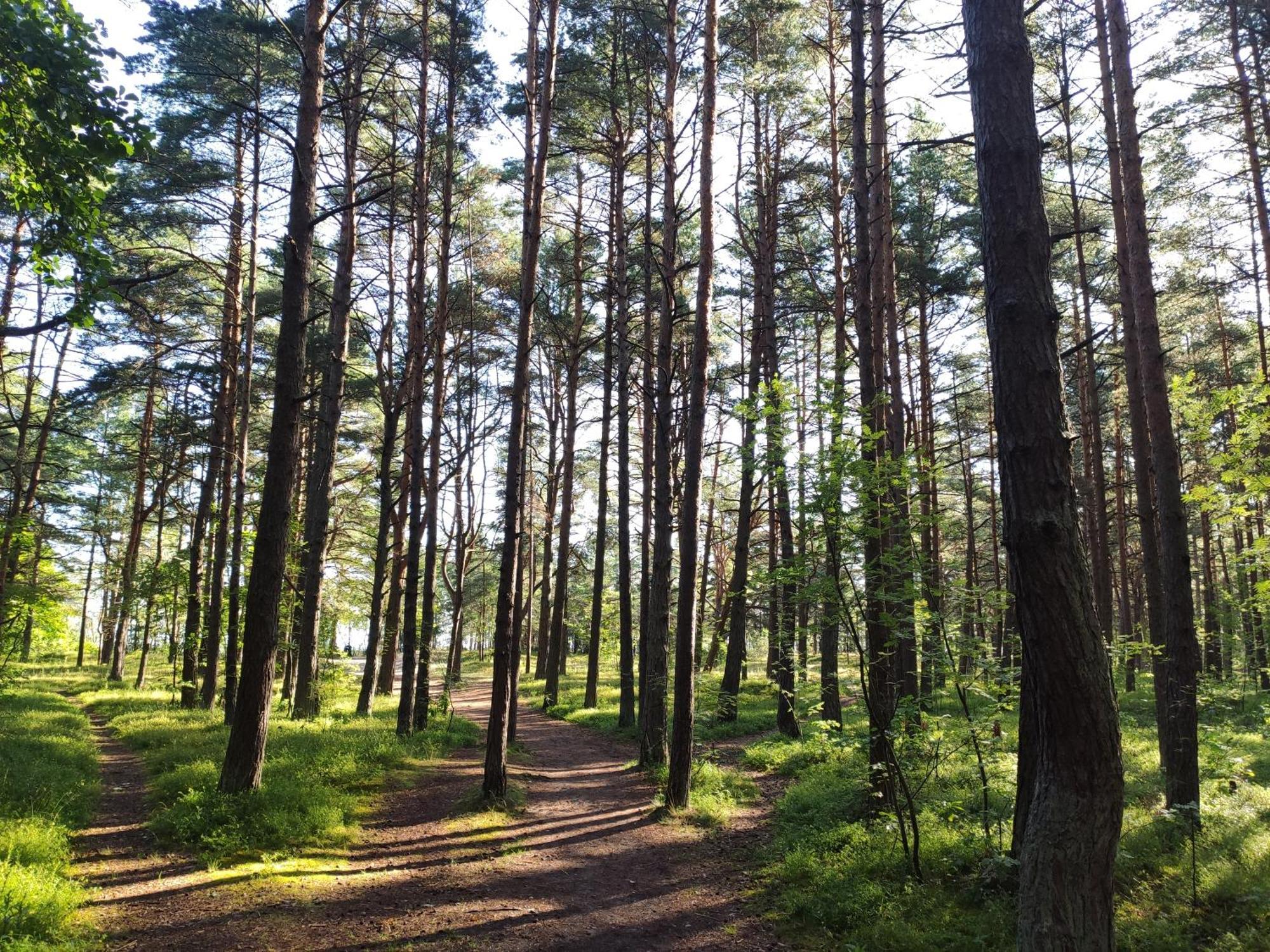 Flip-Flops Apartment Jurmala With Free Parking Exteriör bild
