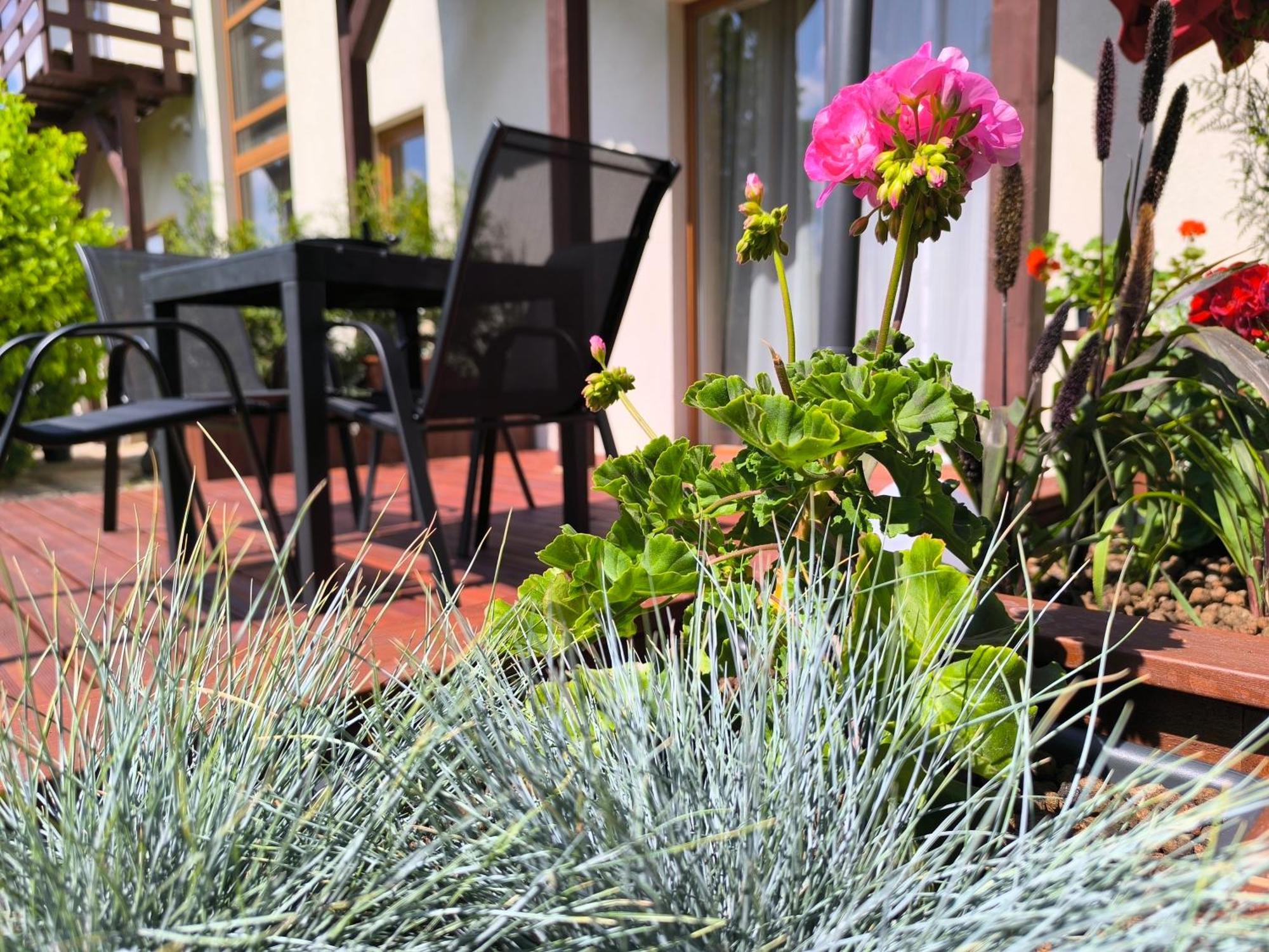 Flip-Flops Apartment Jurmala With Free Parking Exteriör bild
