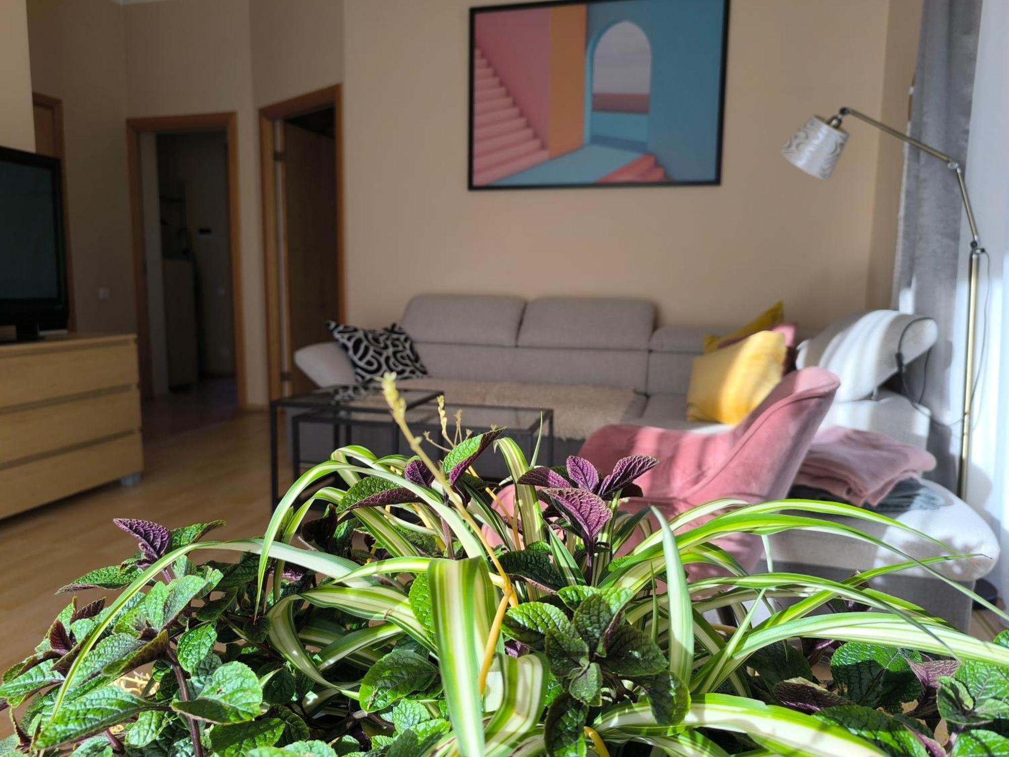 Flip-Flops Apartment Jurmala With Free Parking Exteriör bild