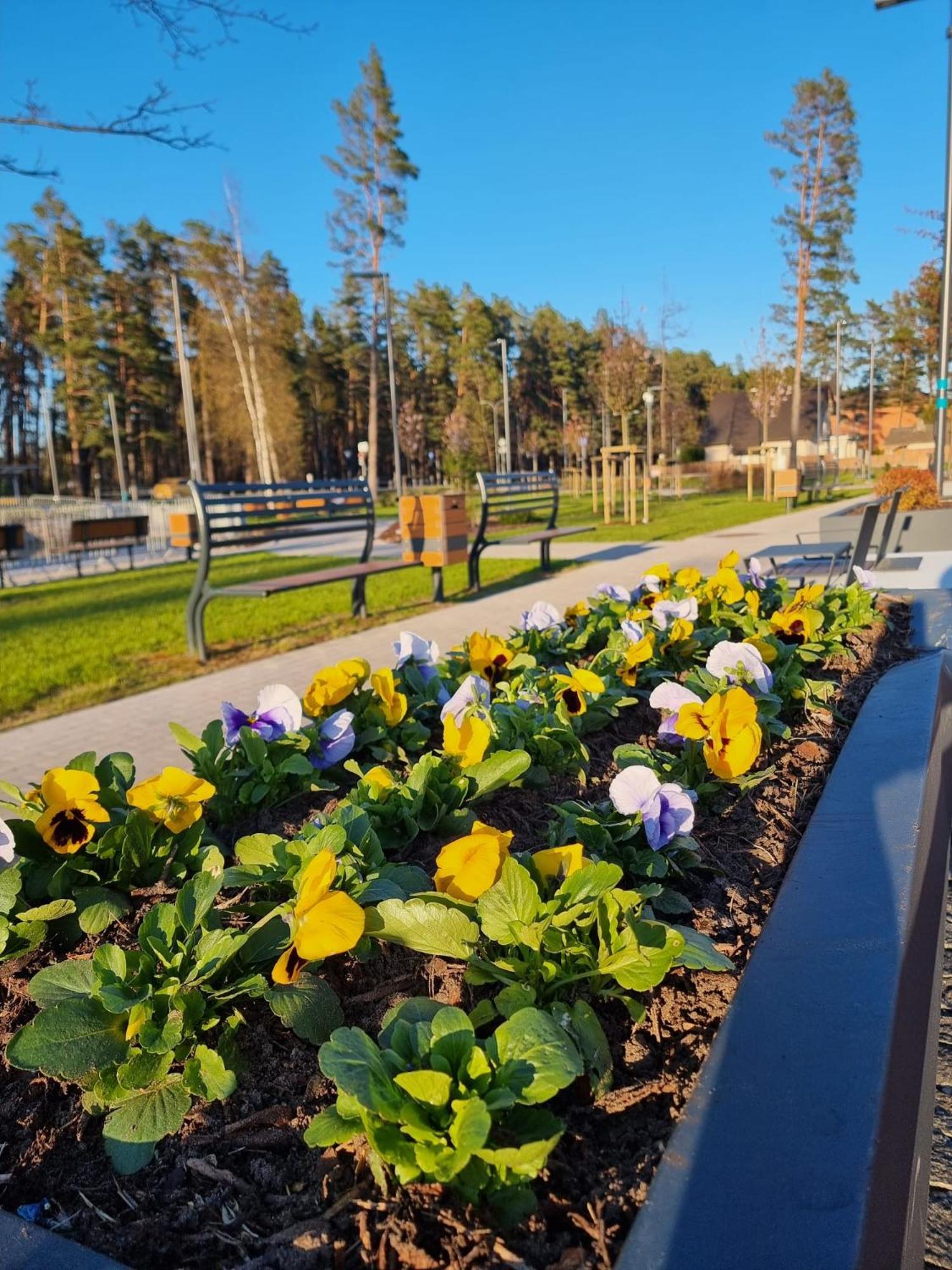 Flip-Flops Apartment Jurmala With Free Parking Exteriör bild
